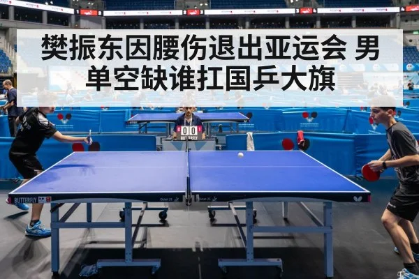 樊振东因腰伤退出亚运会 男单空缺谁扛国乒大旗
